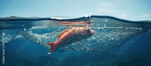 Overfishing threatens fish in the sea copy space image photo