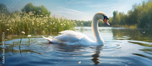 Photographing a beautiful s...