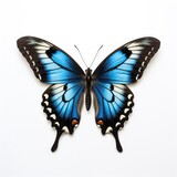 Butterfly on white background, AI generated Image