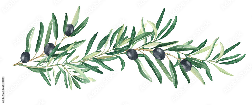 Olive branch with black olives isolated on white background. Watercolor hand drawn botanical illustration. Can be used for cards, menu and logos. For cosmetic or food packaging design - obrazy, fototapety, plakaty 