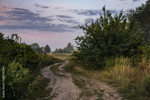 Rustic landscape with a path in the evening after sunset, dusk in summer