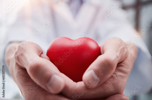 The doctor holds and shows a red heart.