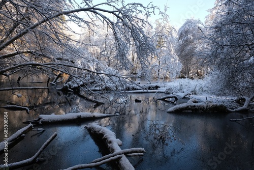 Beautiful winter scenery of forest around Straszynskie Lake in Kashubia, Poland