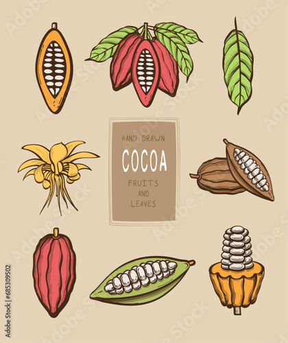 A set of hand-drawn outlines with a colored background of cocoa beans, flower leaves and seeds for the design of products and menus. Flat doodle style. Vector illustration.