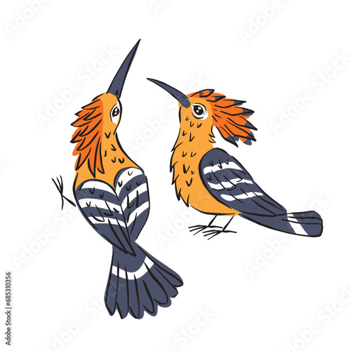 Line art colorful illustration of cute hoopoe birds isolated on white background