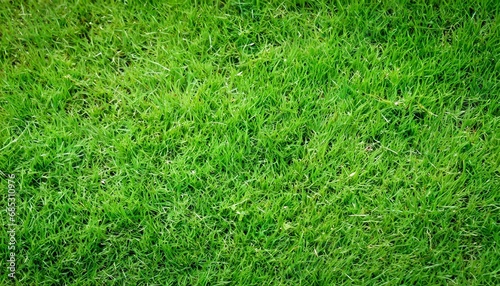 green grass texture can be use as background