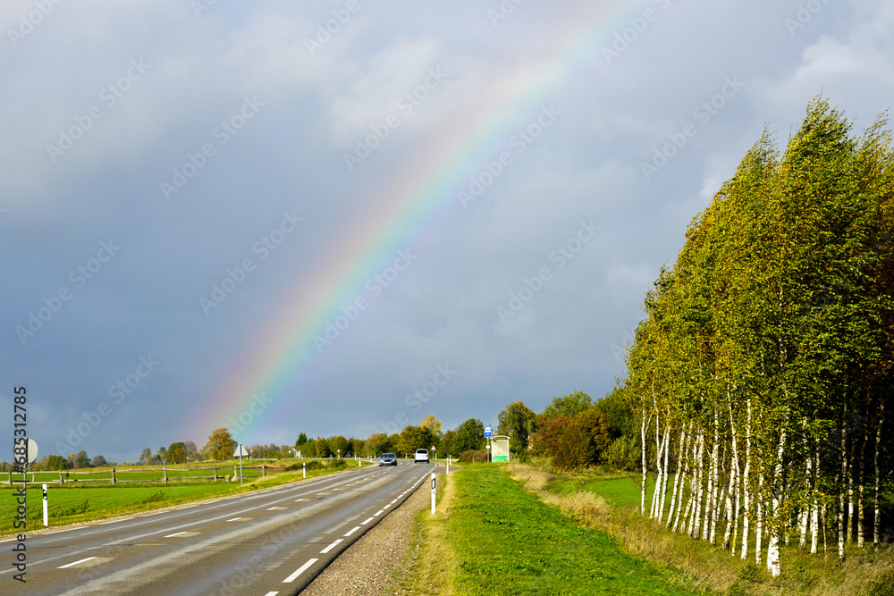 A rainbow of natural colors over a road and a birch grove in a rural area, landscape with rainbow