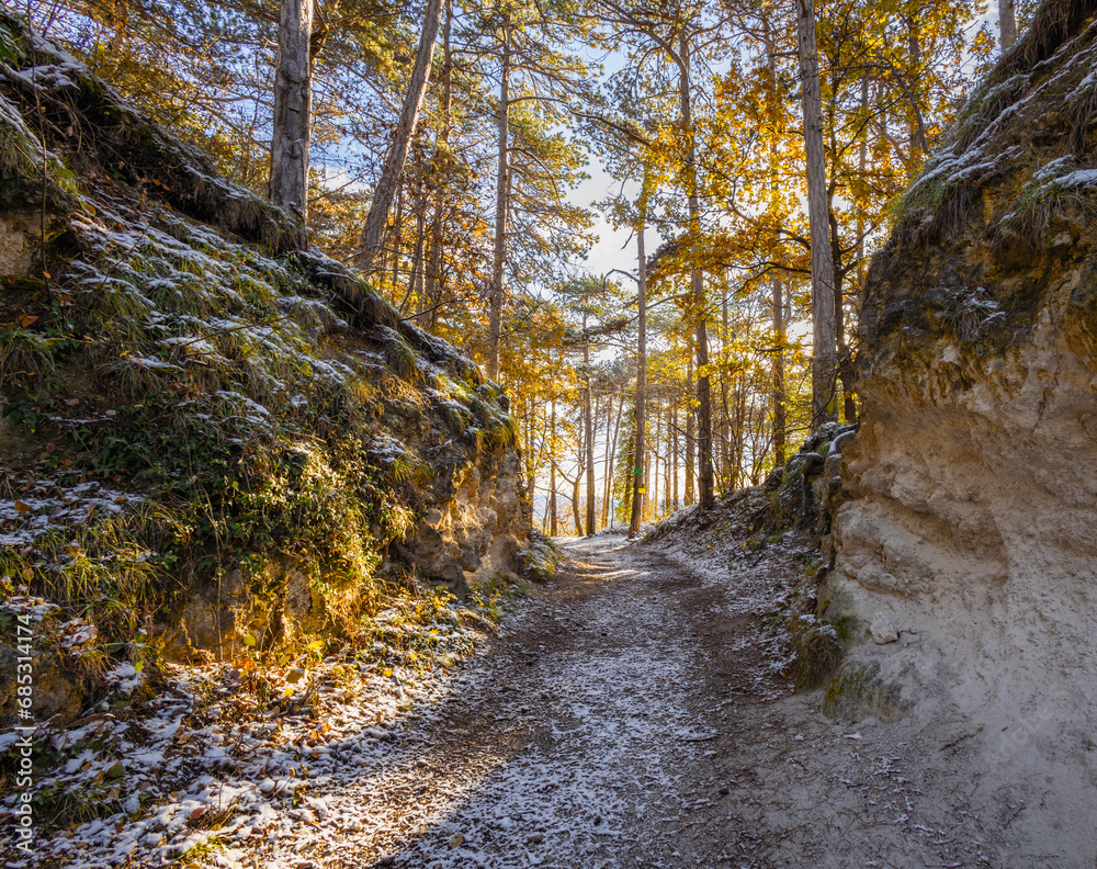 verschneiter Waldweg führt durch Felsen