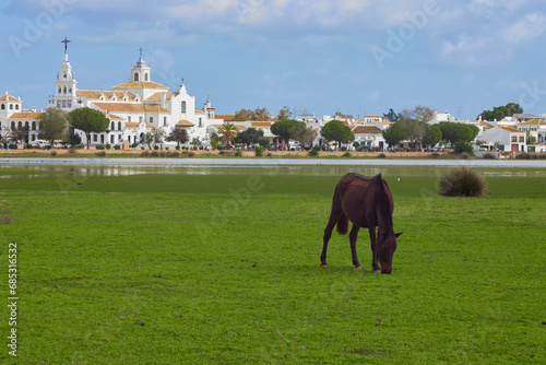 A horse grazing near of the Hermitage of El Rocío.. Doñana National Park. Marshes of Doñana