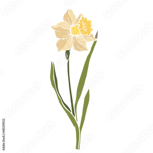 Spring daffodil flower.Decorative botanical element.Vector graphic. © Екатерина Якубович
