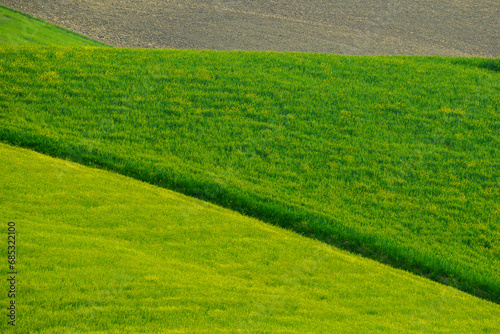 Lucania summer countryside landscape, Basilicata, Italy