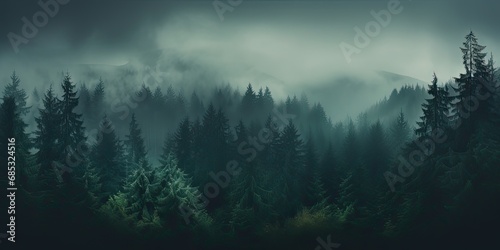 a forest with fog in the background © Photo And Art Panda