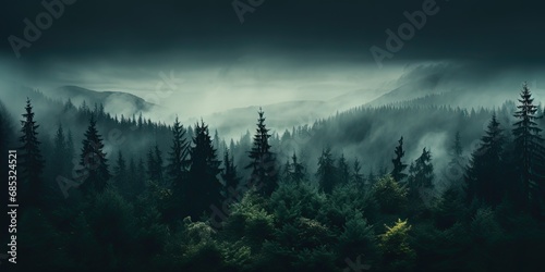 a forest with fog in the background photo