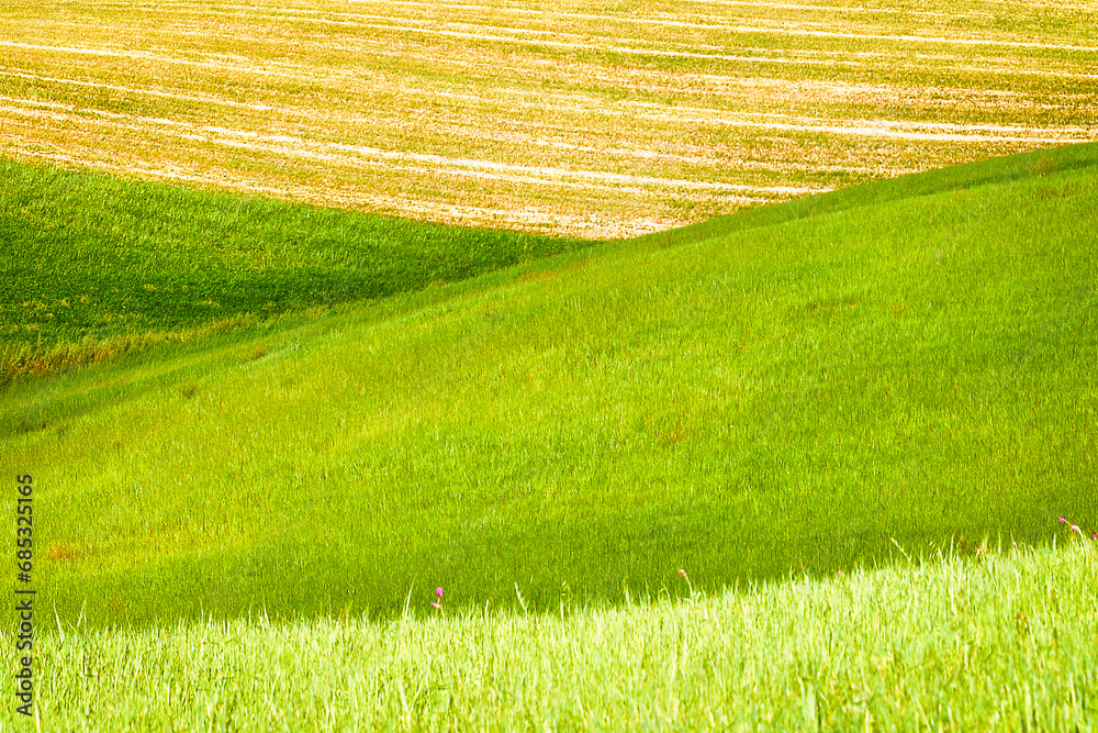 Obraz premium Lucania summer countryside landscape, Basilicata, Italy