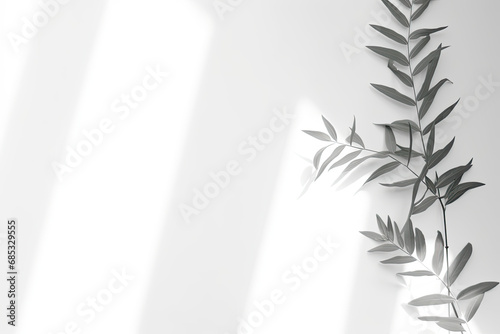 Minimal abstract light grey background for product presentation. Shadow and light from windows on plaster wall.