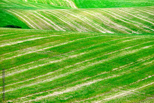 Lucania summer countryside landscape  Basilicata  Italy