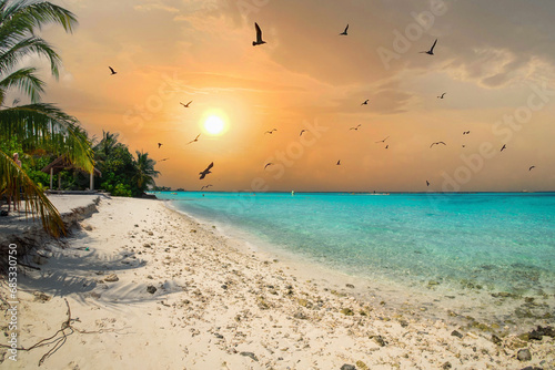 Maldives (Maldive) island beach. tropical landscape, white sand with palm trees. Luxury travel resort. Exotic beach view, amazing nature. Sunset