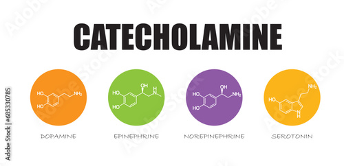 monoamine neurotransmitters types, formulas on bubbles, structures, catecholamine