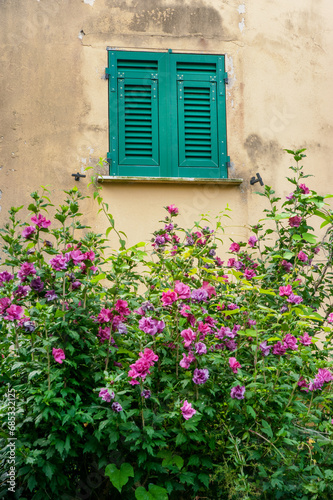 window with green wooden shutters, an ancient textured facade of an old house...