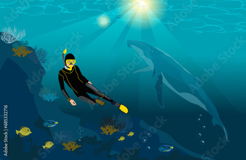 Deep diving. Huge whale. Diver wearing full equipment, underwater travelling, blue marine water. Sea tropical ocean reef, wildlife seaweed. Undersea sunlight. Blue background. Vector illustration