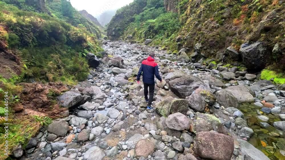 A man walking over the rocks inside a river in a rainy day with a raincoast, surrounded of green grass, moss, in a gorge in Azores, in the trail Valle das Lombadas A man walking over the rocks inside a river in a rainy day with a raincoast, surrounded of green grass, moss, in a gorge in Azores, in the trail Valle das Lombadas