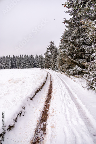 Erste Winterwanderung durch den verschneiten Thüringer Wald bei Tambach-Dietharz - Thüringen - Deutschland photo