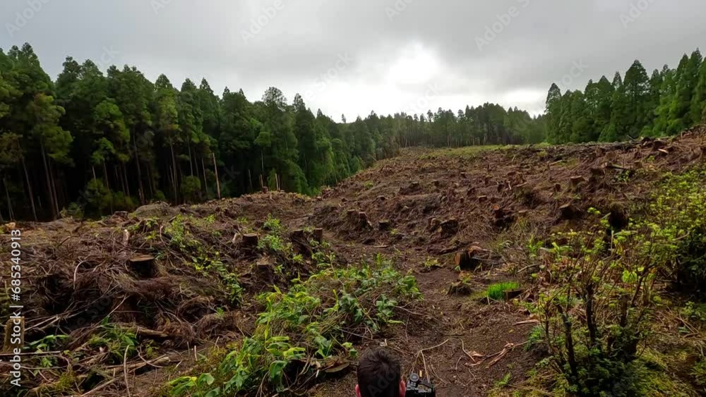 Camera man recording the deforestation of a forest in Azores Camera man recording the deforestation of a forest in Azores