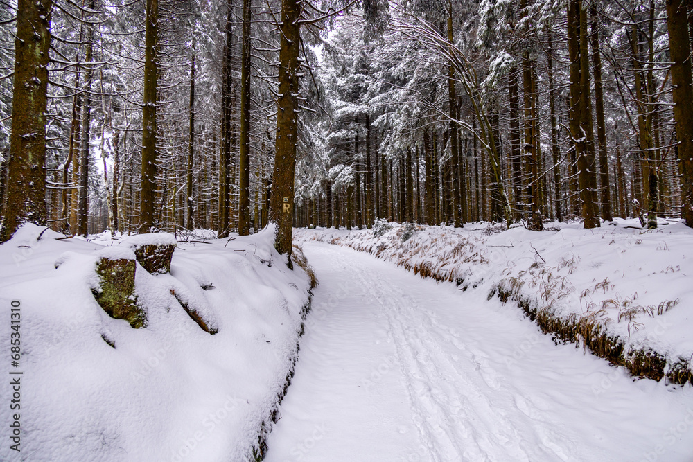 Erste Winterwanderung durch den verschneiten Thüringer Wald bei Tambach-Dietharz - Thüringen - Deutschland Erste Winterwanderung durch den verschneiten Thüringer Wald bei Tambach-Dietharz - Thüringen - Deutschland