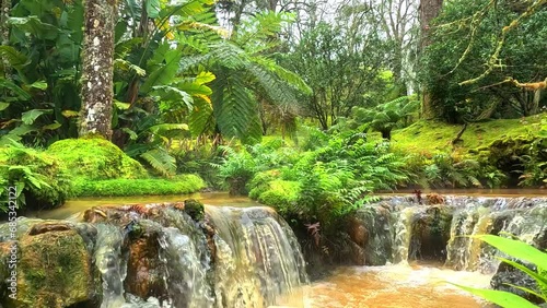 water stream of thermal brown water, at the botanical garden of terra nostra in furnas, Azores, Portugal, surrounded of green trees and moss photo