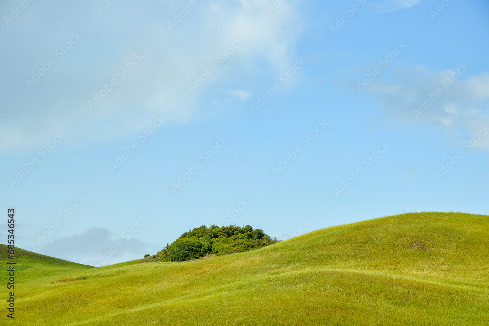 Fototapeta premium summer countryside landscape, Basilicata, Italy