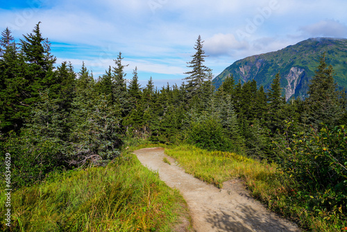 Hiking trail in a pine forest on top of Mount Roberts above Juneau, the capital city of Alaska, USA