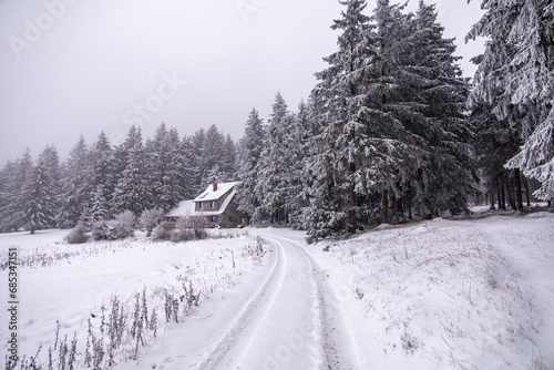 Erste Winterwanderung durch den verschneiten Thüringer Wald bei Tambach-Dietharz - Thüringen - Deutschland