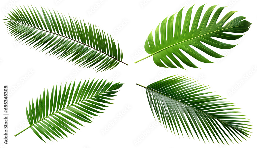 Set of tropical green palm leaves cut out Set of tropical green palm leaves cut out
