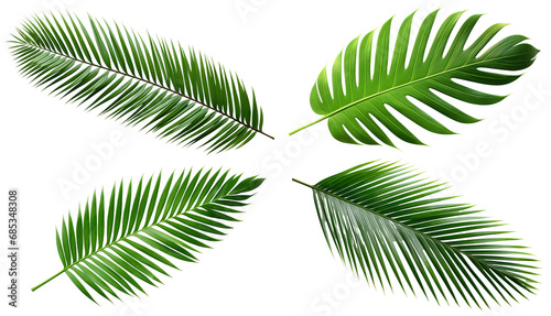 Set of tropical green palm leaves cut out