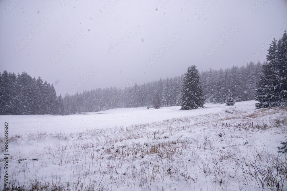 Erste Winterwanderung durch den verschneiten Thüringer Wald bei Tambach-Dietharz - Thüringen - Deutschland Erste Winterwanderung durch den verschneiten Thüringer Wald bei Tambach-Dietharz - Thüringen - Deutschland