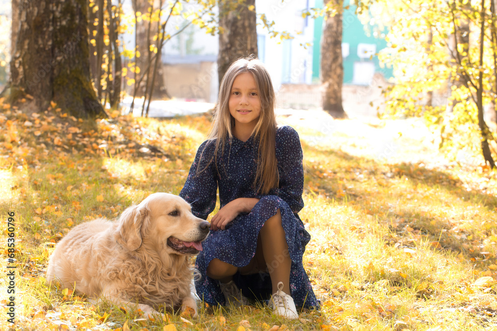Golden Retriever and a girl walking on a sunny day in an autumn park Golden Retriever and a girl walking on a sunny day in an autumn park
