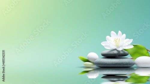  a white flower sitting on top of a pile of rocks next to a green leaf on top of a reflective surface.