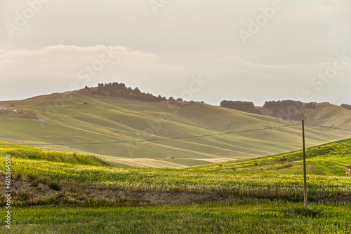 summer countryside landscape, Basilicata, Italy 