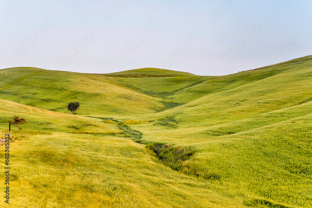 summer countryside landscape, Basilicata, Italy summer countryside landscape, Basilicata, Italy