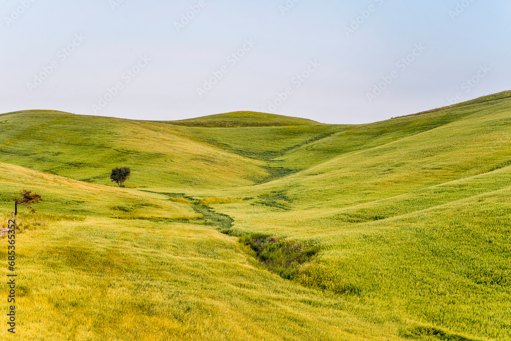 summer countryside landscape, Basilicata, Italy 