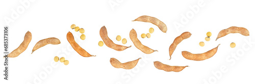 Dried soybean pods and beans isolated on a white background, top view.