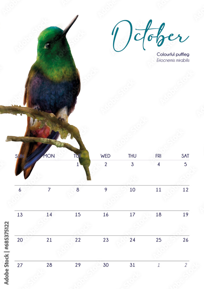 calendario 2024 Octubre hummingbird - obrazy, fototapety, plakaty 