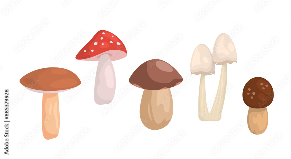 Set of mushrooms. Harvest and crop from autumn and fall season. Natural and organic products. Fly agaric, porcini and boletus. Cartoon flat vector collection isolated on white background