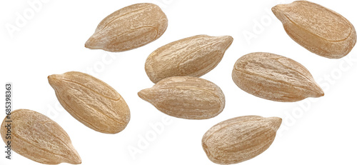 Foto Falling peeled sunflower seeds isolated