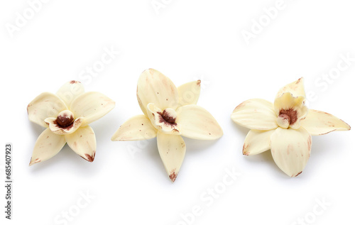 Aromatic vanilla flowers on white background
