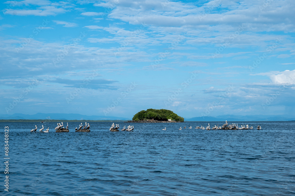 Pelicans in Front of Bunny Island “Isla Conejo” in Fonseca Gulf Between Honduras and Salvador