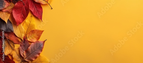 Vibrant Autumn Red and Yellow Leaves with copy space on Yellow Background  Generative Ai