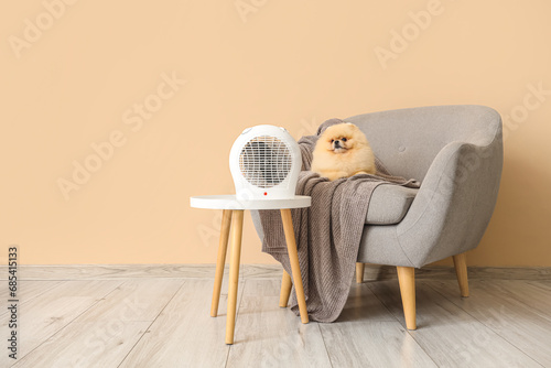 Cute Pomeranian spitz on armchair with electric fan heater near beige wall