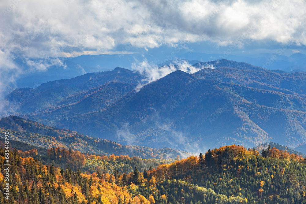Autumn landscape - view of the mountains covered with forest under the autumn sun in the Carpathians, Ukraine