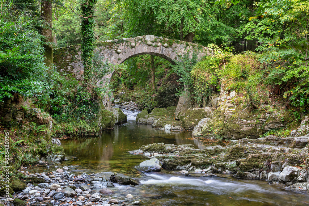 Fototapeta premium Foley's Bridge
